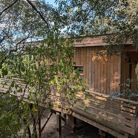 Les Cabanes Dans Les Bois Logis Hotel Villedubert ภายนอก รูปภาพ