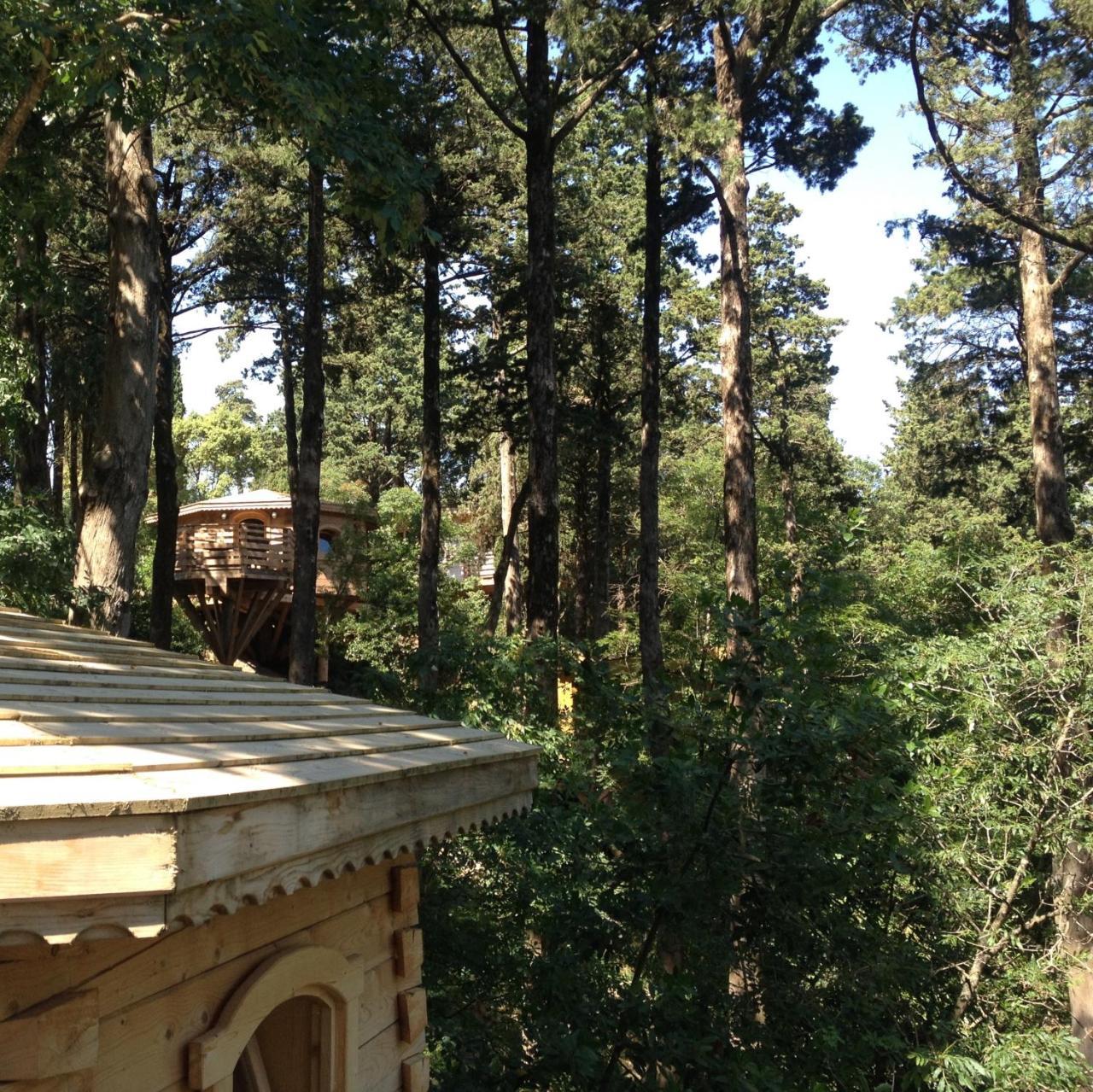 Les Cabanes Dans Les Bois Logis Hotel Villedubert ภายนอก รูปภาพ